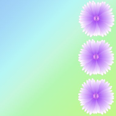 arka plan üzerinde çerçeve çiçek