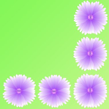 arka plan üzerinde çerçeve çiçek