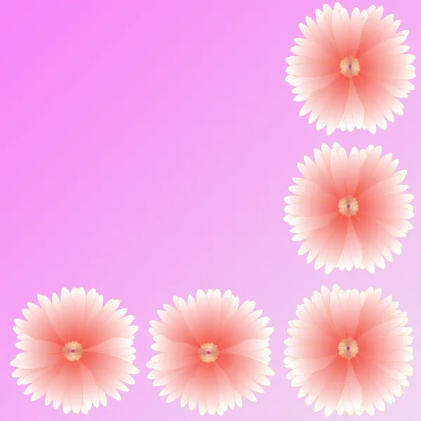 ดอกไม้ของกรอบบนพื้นหลัง — ภาพถ่ายสต็อก