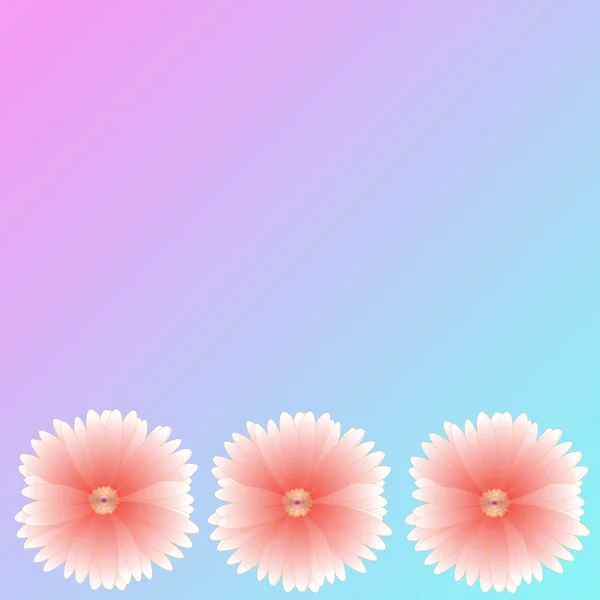 Flower of frame on background — Stock Photo, Image