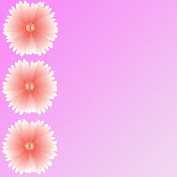 Kwiat ramki na tle — Zdjęcie stockowe