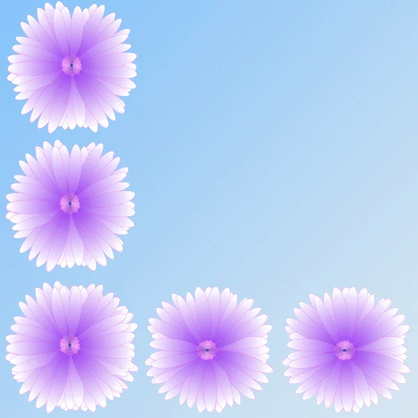 Flower of frame on background — Stock Photo, Image