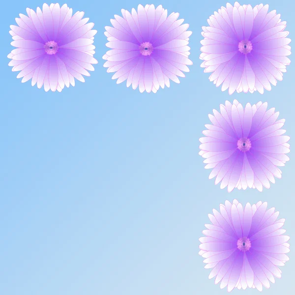 Flower of frame on background — Stock Photo, Image
