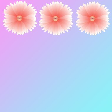 arka plan üzerinde çerçeve çiçek