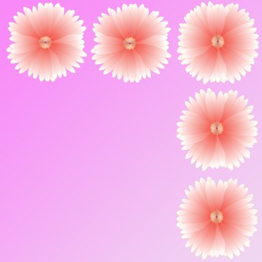 arka plan üzerinde çerçeve çiçek