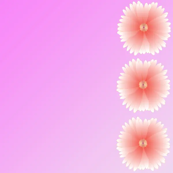 Fiore di cornice su sfondo — Foto Stock
