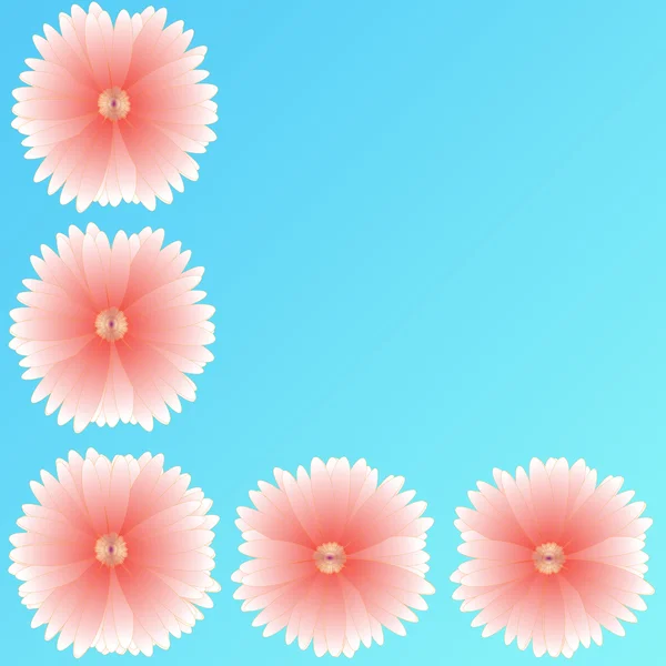 Flower of frame on background — Stock Photo, Image