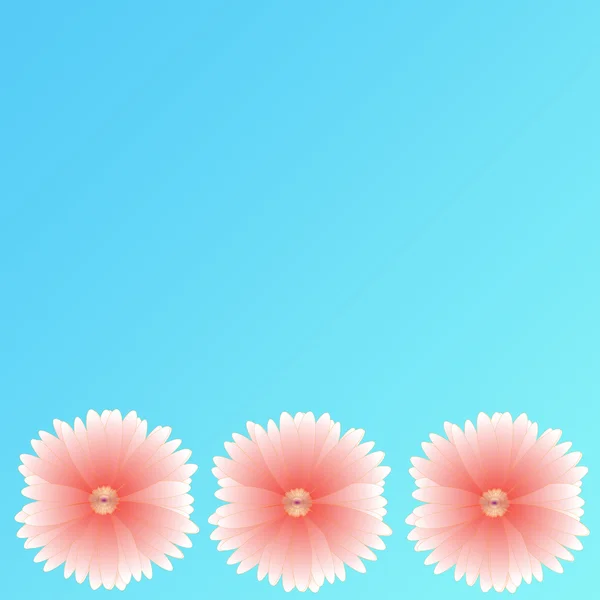 背景上のフレームの花 — ストック写真