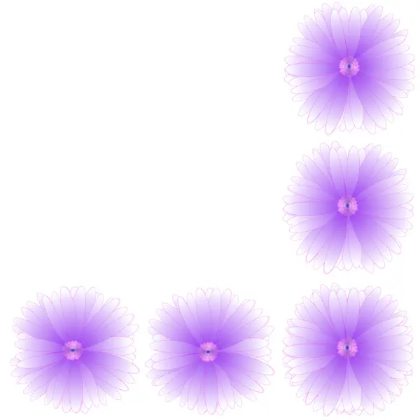 Floarea cadrului pe fundal — Fotografie, imagine de stoc