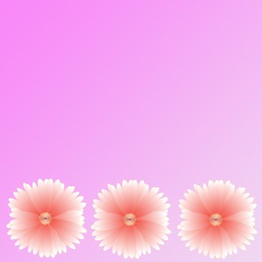 arka plan üzerinde çerçeve çiçek