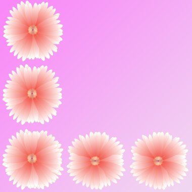 arka plan üzerinde çerçeve çiçek