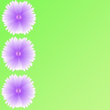 arka plan üzerinde çerçeve çiçek