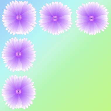 arka plan üzerinde çerçeve çiçek