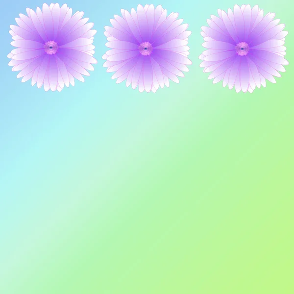 Blomma av ram på bakgrunden — Stockfoto