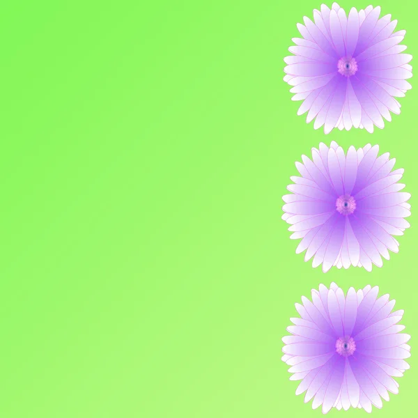 Blume des Rahmens auf Hintergrund — Stockfoto