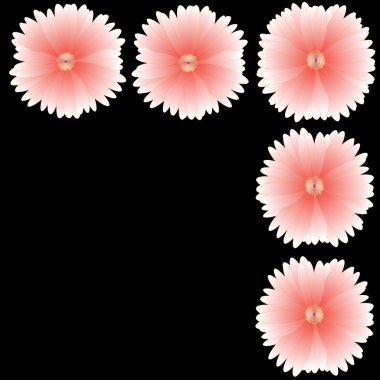 arka plan üzerinde çerçeve çiçek