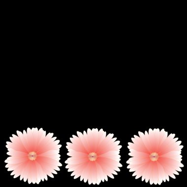 arka plan üzerinde çerçeve çiçek