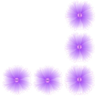 arka plan üzerinde çerçeve çiçek