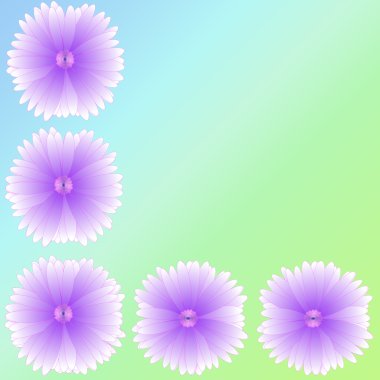 arka plan üzerinde çerçeve çiçek