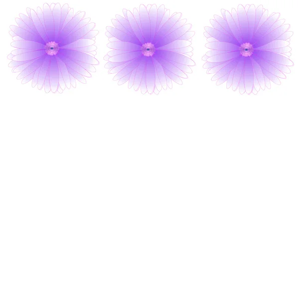 Flower of frame on background — Stock Photo, Image