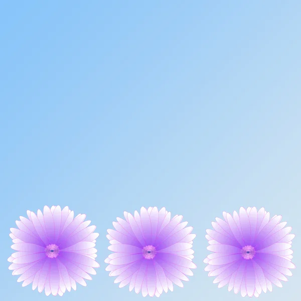 Λουλούδι του πλαισίου σε φόντο — Φωτογραφία Αρχείου