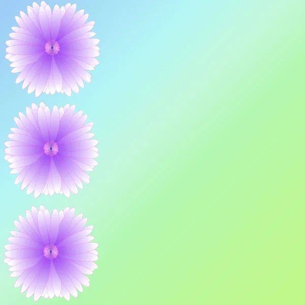 Virág, keret, háttér — Stock Fotó