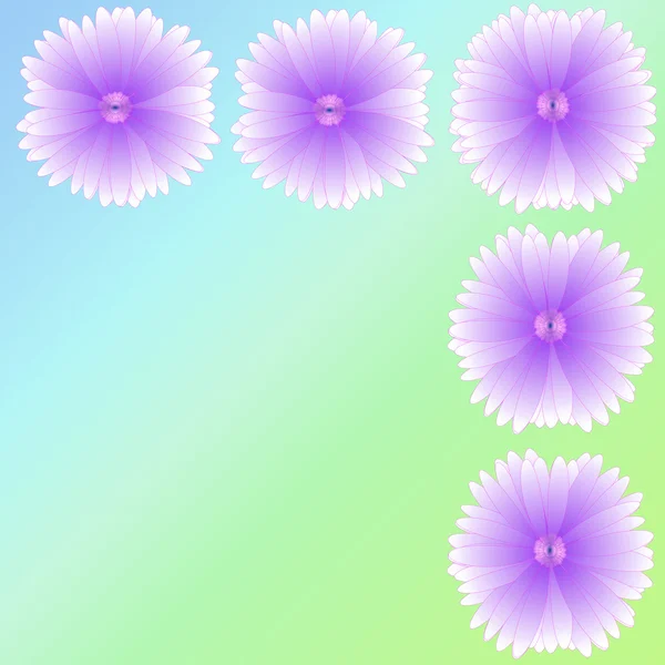 arka plan üzerinde çerçeve çiçek