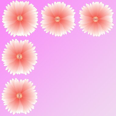 arka plan üzerinde çerçeve çiçek