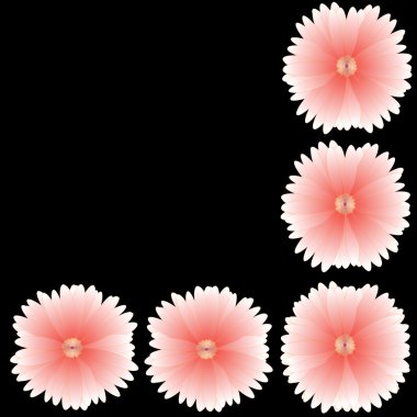 arka plan üzerinde çerçeve çiçek