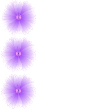 arka plan üzerinde çerçeve çiçek