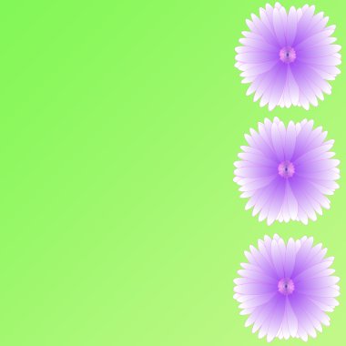 arka plan üzerinde çerçeve çiçek