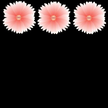 arka plan üzerinde çerçeve çiçek