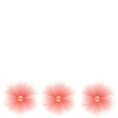 arka plan üzerinde çerçeve çiçek