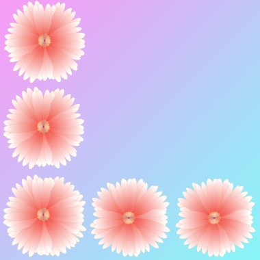 arka plan üzerinde çerçeve çiçek