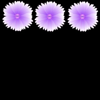 arka plan üzerinde çerçeve çiçek