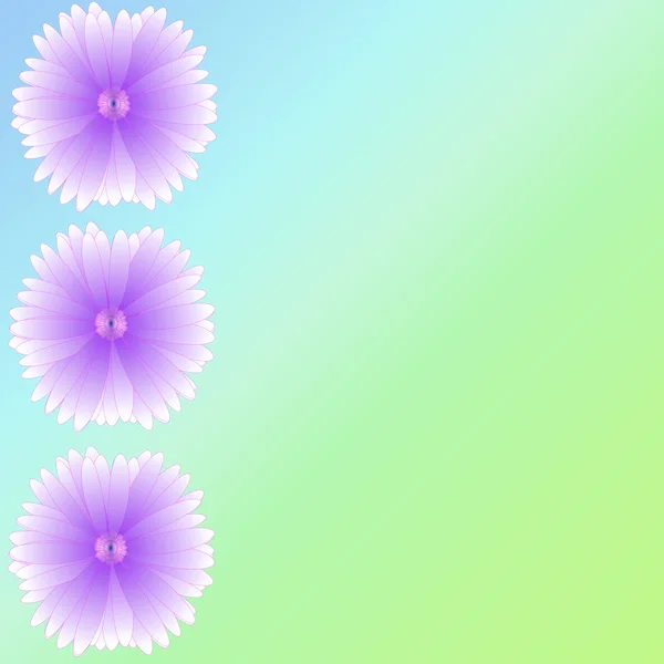 Flower of frame on background — Stock Photo, Image