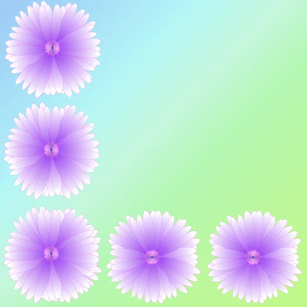 arka plan üzerinde çerçeve çiçek