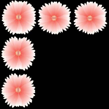 arka plan üzerinde çerçeve çiçek