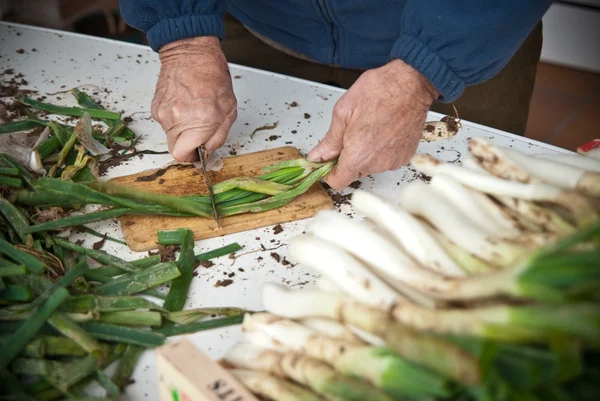 Calçots, onion typical in Catalonia — 图库照片