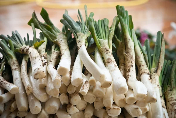 Calçots, onion typical in Catalonia — 图库照片