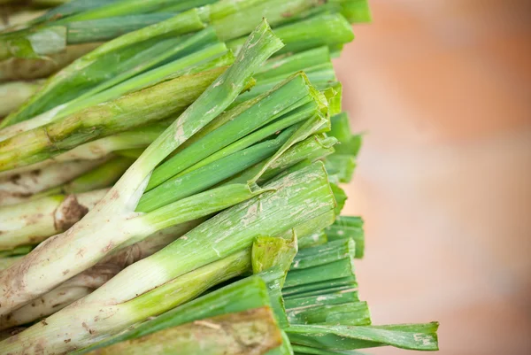 Calçots, onion typical in Catalonia — Stok fotoğraf