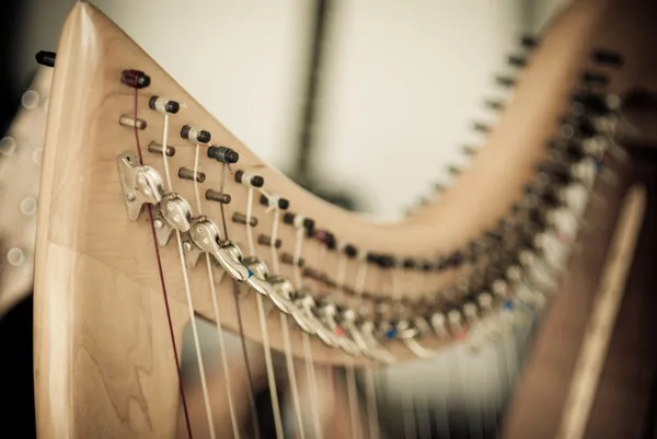 Harp — Stock Photo, Image