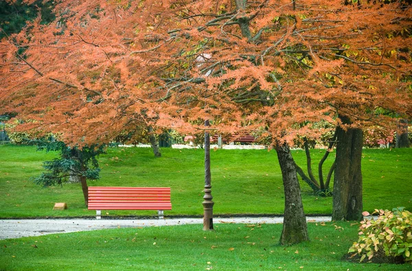 Park in fall — Stock Photo, Image