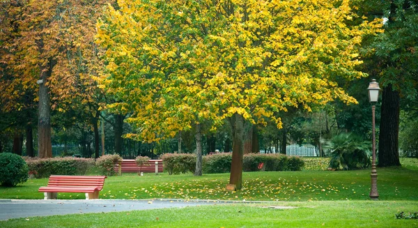 Park in France — Stock Photo, Image