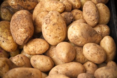 Patatoes