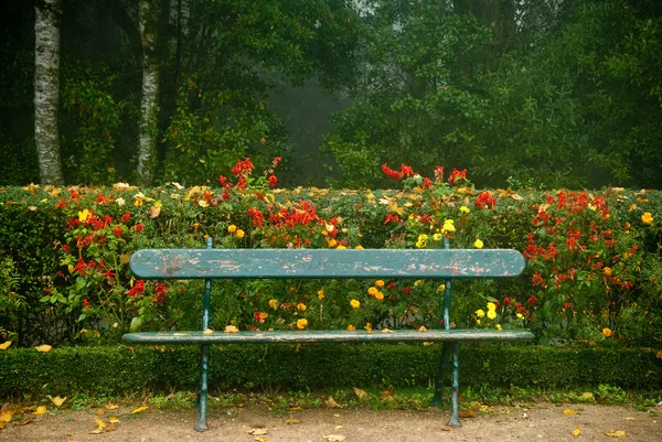 Bench di taman — Stok Foto