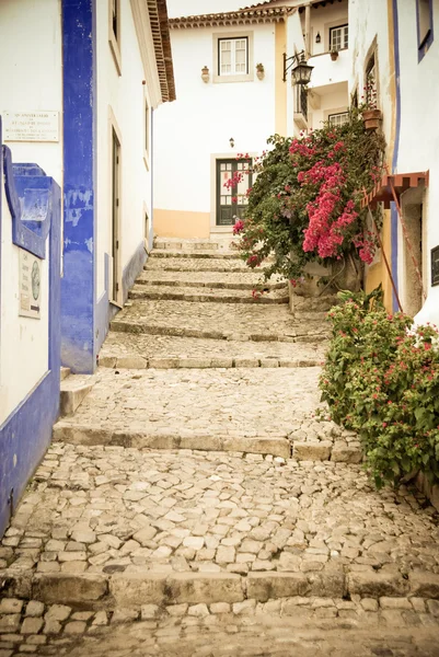 Obidos sokak — Stok fotoğraf