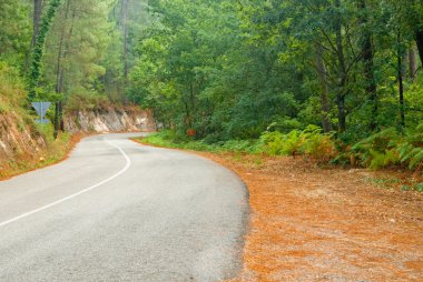 kırsal yol