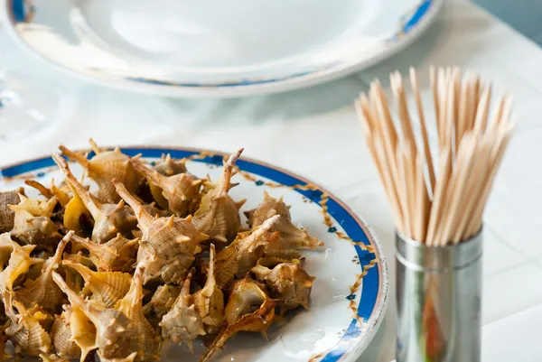 deniz salyangozları