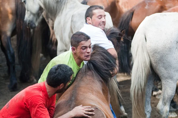 Homens e cavalos — Fotografia de Stock